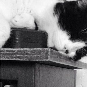 Meet your Posher, Eliza